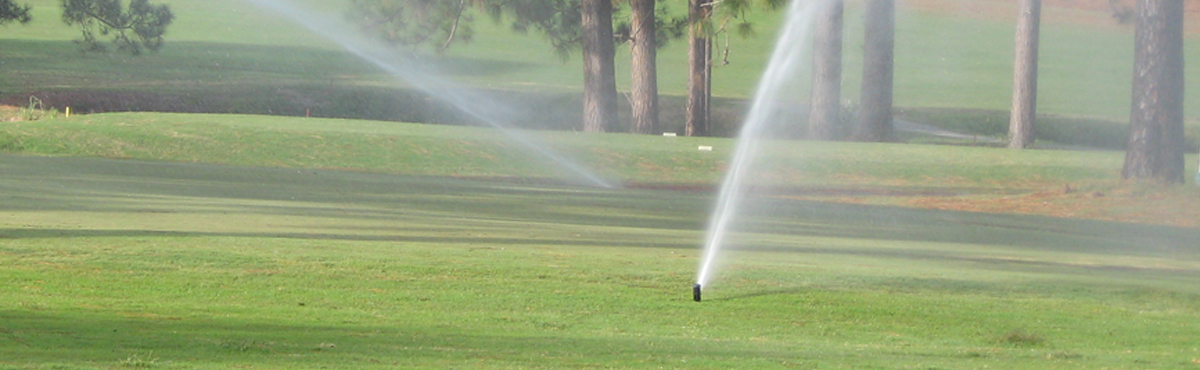 5 Ways Turf Managers Can Reduce Water Usage